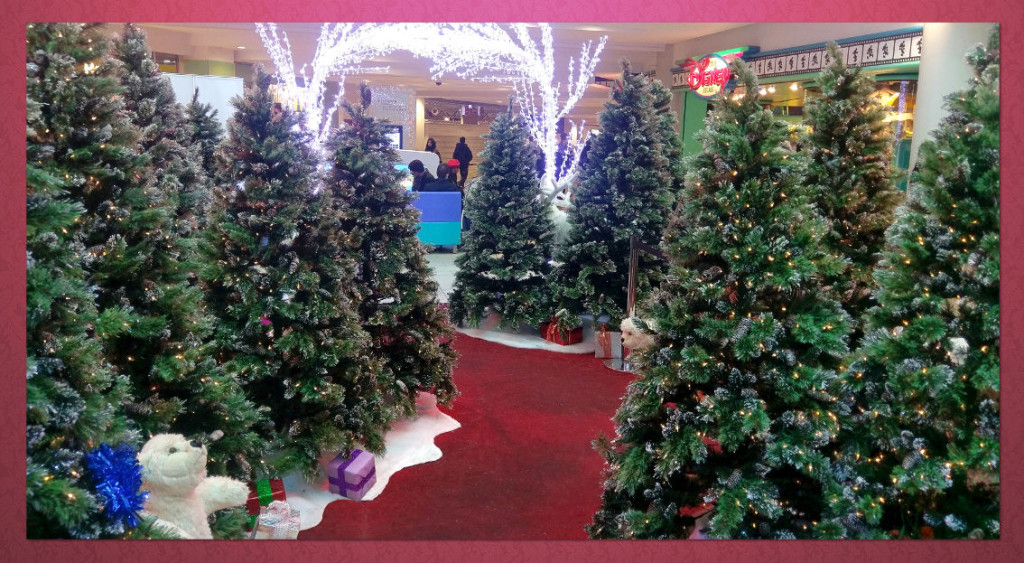 Indoor Grotto Hire Great Grottos Ltd.