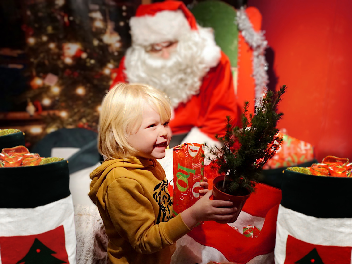 Santa Magic Tree Reveal 