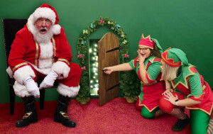 Sprouting Chamber - Santa & Elves