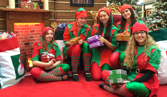 Father Christmas Training