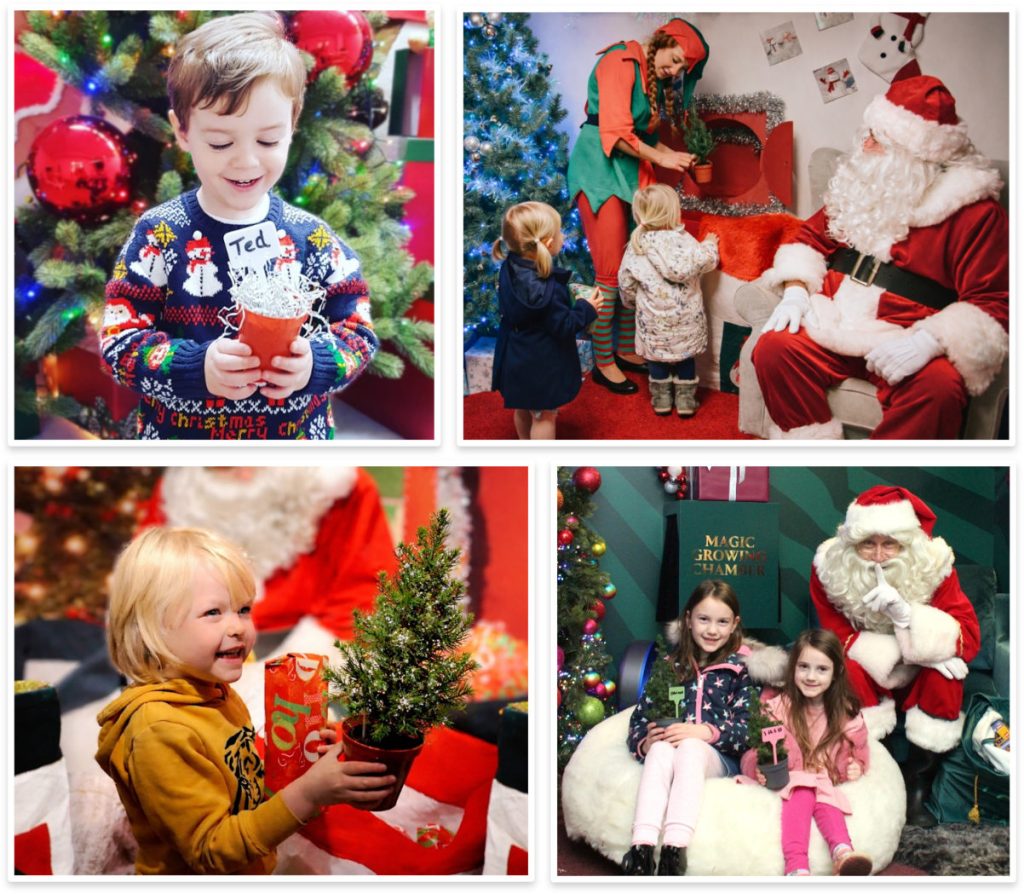 Santa Claus Magic Tree Activity Visits