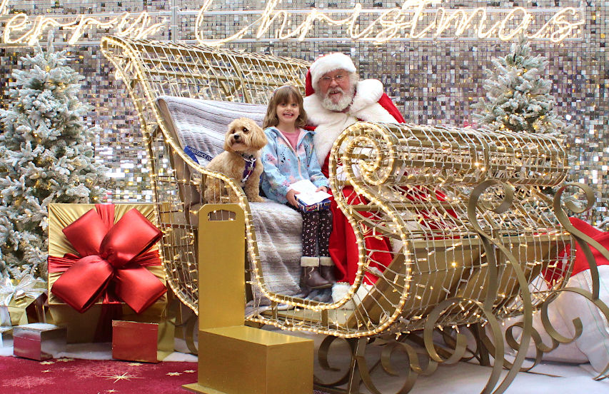 Santa Paws - Father Christmas meet pets