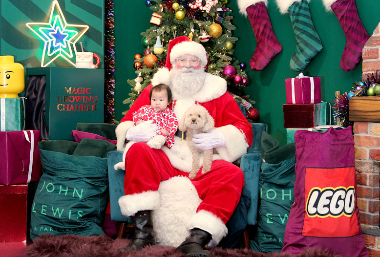 Santa Paws - Father Christmas meet pets